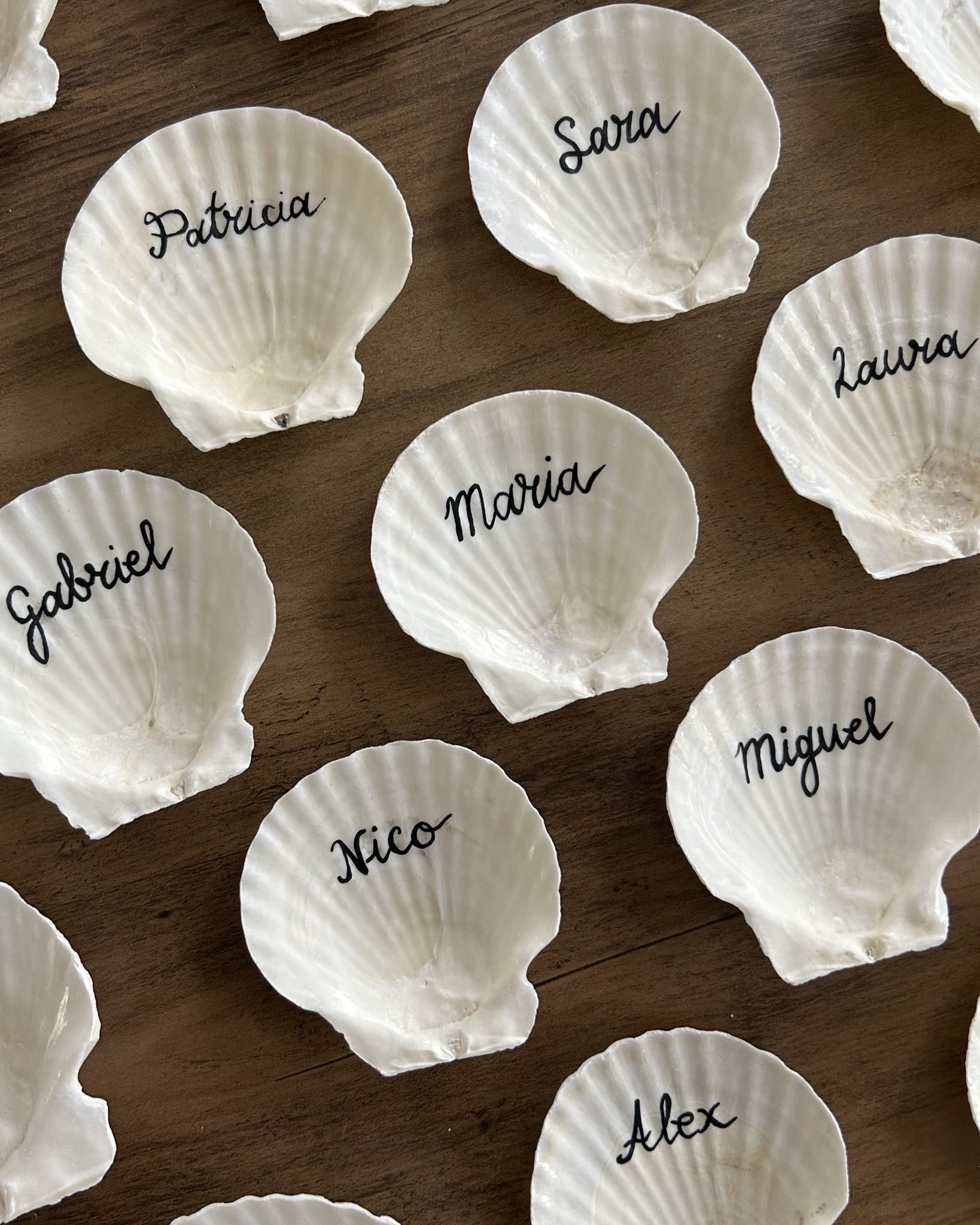 _MarcadoresLugar_Conchas